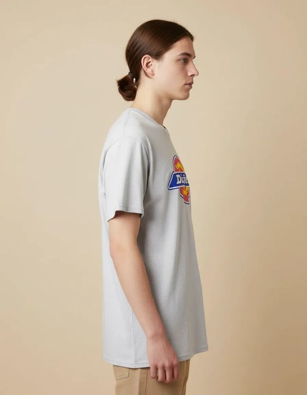 Polo dickies color plomo
